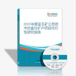 2015年寶石礦公司技術(shù)改造與擴(kuò)產(chǎn)項(xiàng)目可行性研究報(bào)告分析